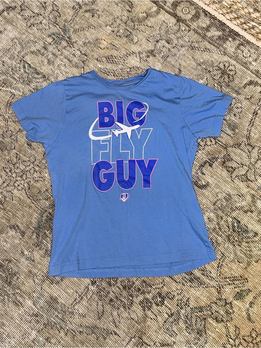 Big Fly Guy Short Sleeve Graphic Tee - Blue